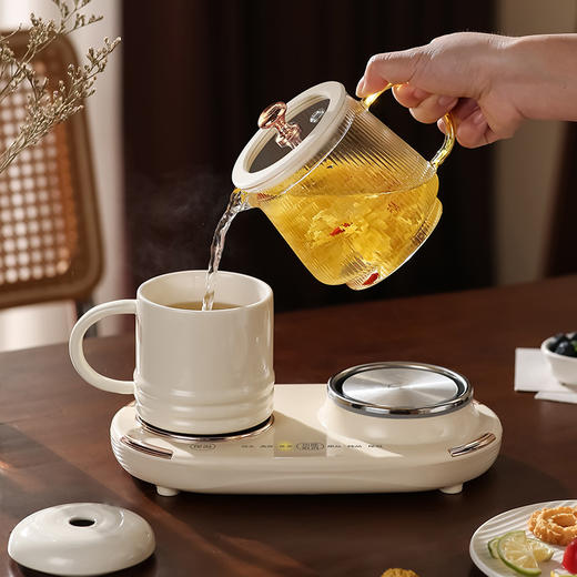 【精煮+暖饮同享，悠闲时刻，自在滋养】双杯养生壶 客厅茶桌多功能煮水煮茶壶 办公桌自动烧水恒温保温水壶-QQ 商品图2