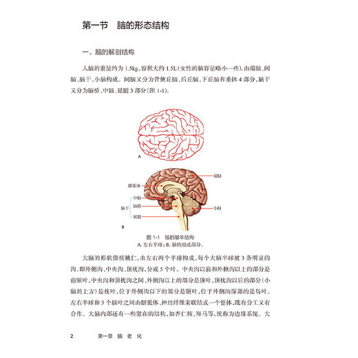社区认知障碍诊治指南 主编张占军 脑老化的生物学特征 心理因素与脑老化 认知衰弱和心理衰弱的关系 9787117368049人民卫生出版社 商品图3