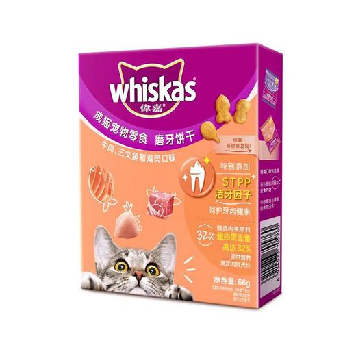 伟嘉成猫磨牙饼干牛肉三文鱼鸡肉味66g 商品图0