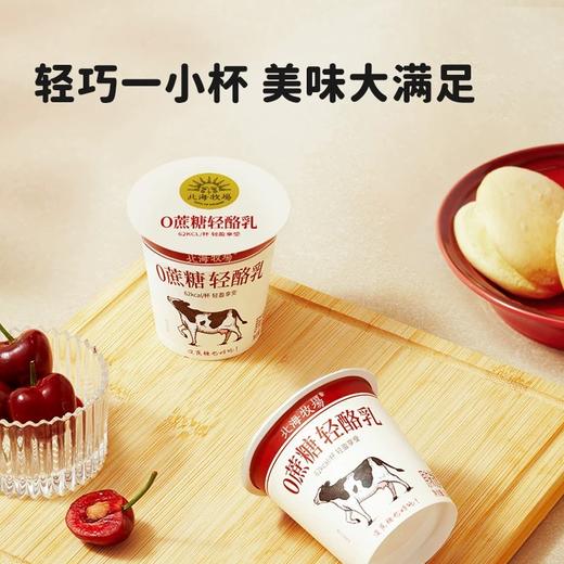 【直供】北海牧场轻酪乳100g/杯*18零蔗糖酸奶风味发酵乳酸奶 商品图3