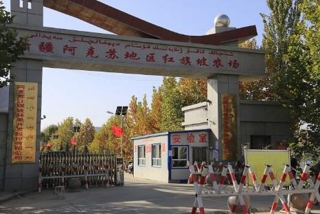 红旗坡六队顶级阿克苏苹果（甜度、水分、风味，独领风骚，刷新你认知的阿克苏苹果，你以往从未吃到的顶级口感） 商品图2