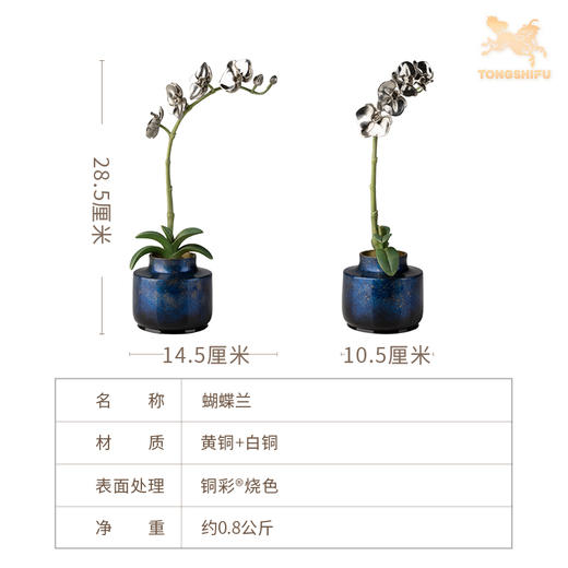 铜师傅《蝴蝶兰》客厅桌面白铜兰花摆件 家居装饰工艺品 商品图5