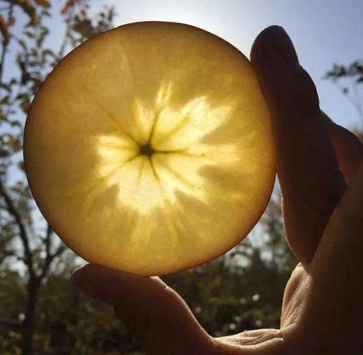 红旗坡六队顶级阿克苏苹果（甜度、水分、风味，独领风骚，刷新你认知的阿克苏苹果，你以往从未吃到的顶级口感） 商品图4