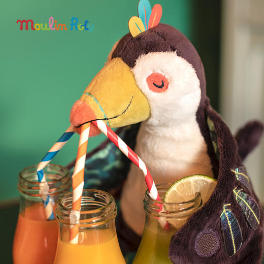 Moulin Roty 小橘鸟精灵 多功能/启蒙玩偶 内置响纸摇铃 菱形格放大镜 适合0岁以上 丛林系列-668071 商品图3
