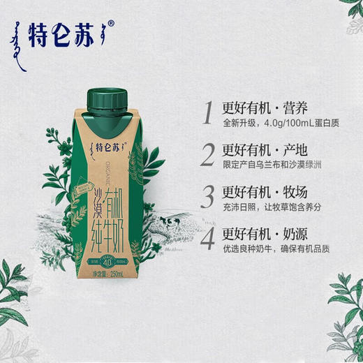 特仑苏 沙漠有机纯牛奶250ml×10盒 商品图2