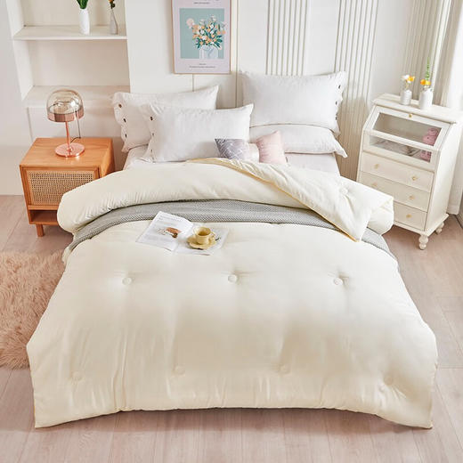 皮尔特保罗  大豆抑菌被 POLOB-2345 商品图1