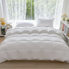 皮尔特保罗  简欧轻奢羽绒被 POLOB-2455 商品缩略图0