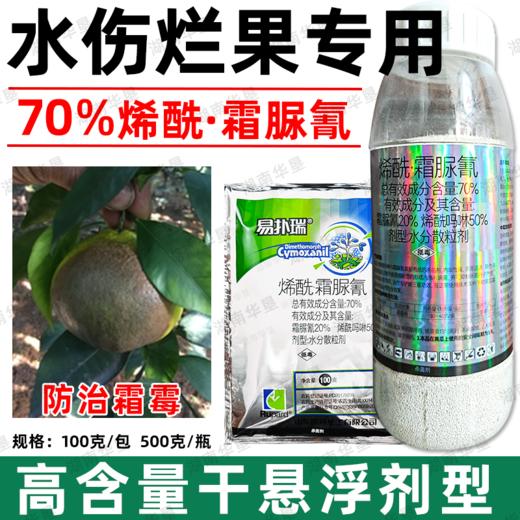 荣邦70%烯酰霜脲氰农用杀菌剂水伤黄瓜霜霉病专用杀菌剂正品批发 商品图1