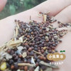 生态狮子头大白菜 4.5斤 | 合作农友生产，产自山东菏泽，生产者：刘坤敏 *【公平贸易农人定价】 商品缩略图12