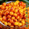 【推荐】来自内蒙多维C富黄酮沙棘果糕 商品缩略图2