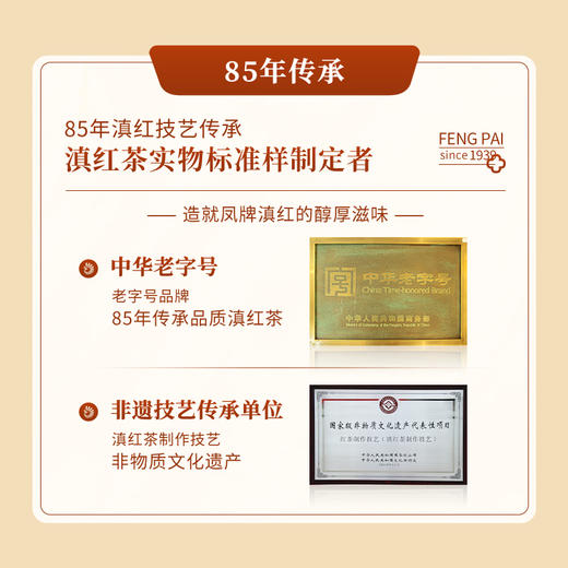 【新品上市】凤牌滇红云南特产果香红茶袋泡茶300g便捷冲泡100包 商品图4