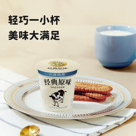 【直供】北海牧场经典小白杯原味发酵乳 低温酸奶100g*15杯 商品图4
