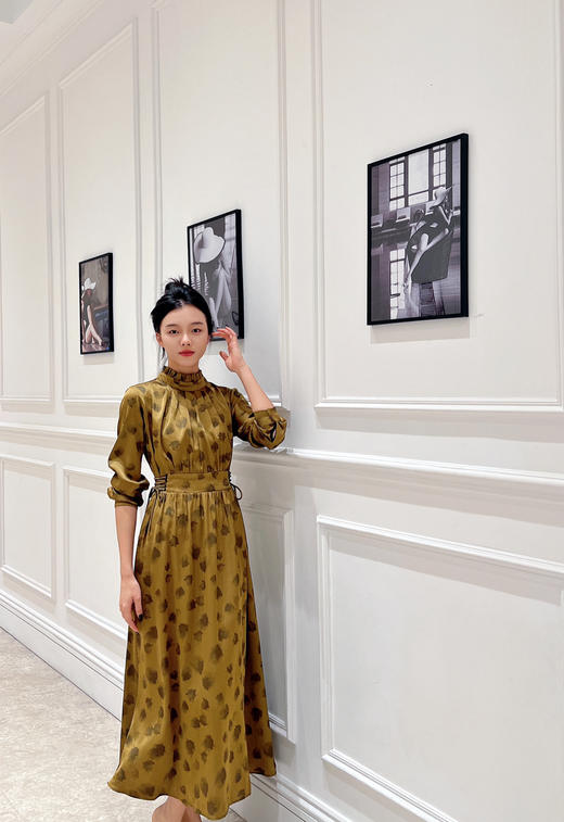 HJ3S100气质长款连衣裙~黄螺 商品图3
