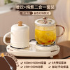 【精煮+暖饮同享，悠闲时刻，自在滋养】双杯养生壶 客厅茶桌多功能煮水煮茶壶 办公桌自动烧水恒温保温水壶-QQ 商品缩略图3