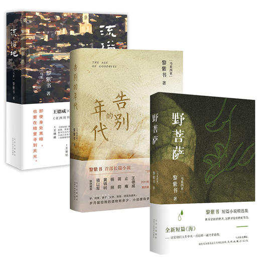 黎紫书：告别的年代+流俗地+野菩萨 商品图0