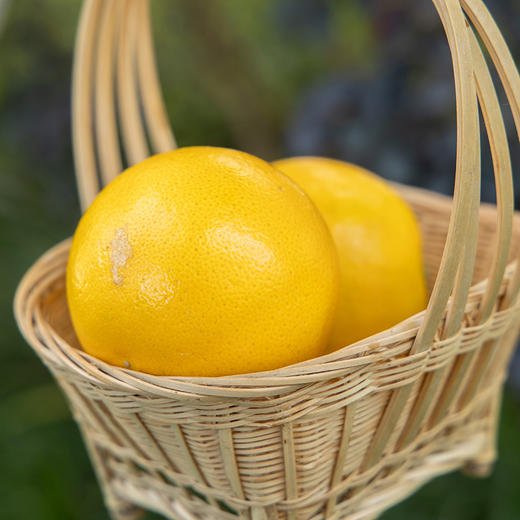 云南高原野花斑橙 一点点丑 多多的甜 自然生长 橙味十足 完美酸甜比  商品图5