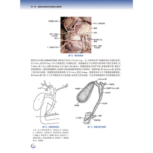胰腺微创病理组织学与细胞学诊断技术（第2版）主编王凯旋 李兆申等 胰腺微创病理学检查的发展与现状9787117369367人民卫生出版社 商品图4
