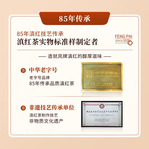 【新品上市】云南正宗陈香普洱凤牌100包袋泡茶熟普洱300g 商品图4