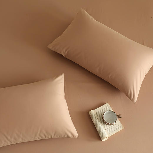 老米优品🎈单只/一对【100支全棉 单品磨毛枕套】好品质磨毛枕套！纯色中厚长绒棉枕套 单独枕套！ 商品图4