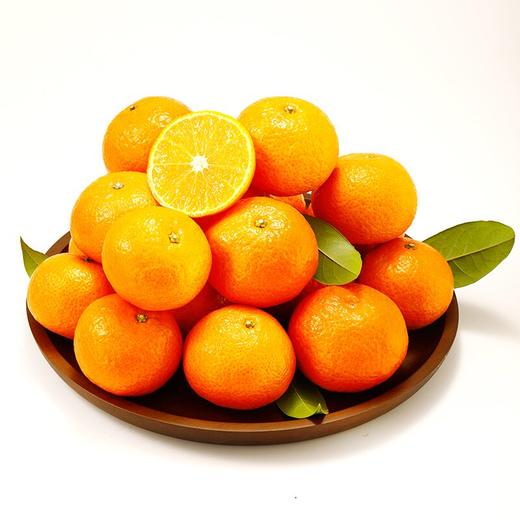 九稀 金秋砂糖橘 商品图3
