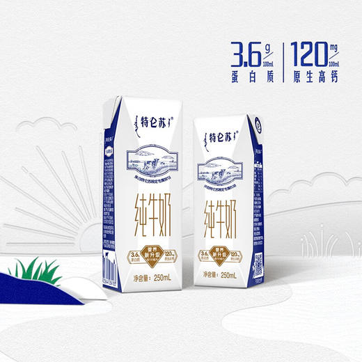 特仑苏 纯牛奶利乐钻250mL*16盒 商品图3