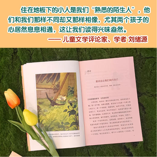 【小译林国际大奖童书】借东西的小人 商品图1