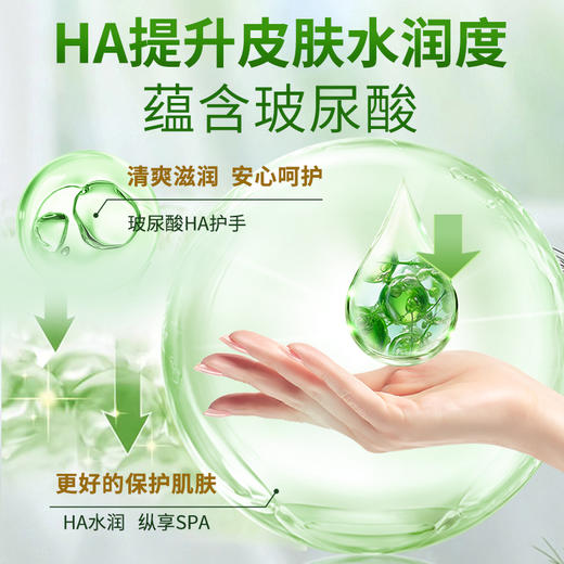 【5瓶装】白倍极 柠檬玻尿酸餐具净500g/瓶 果蔬可用洗洁精  轻松去重油 商品图2