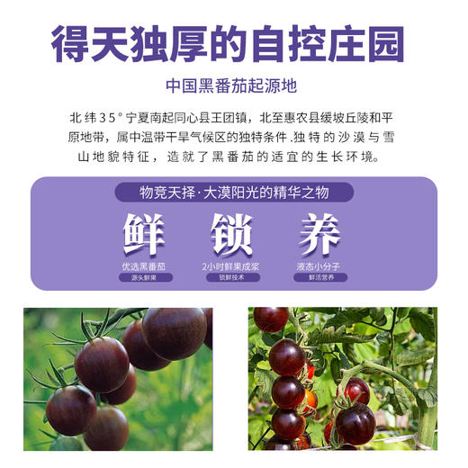 【航天特供食品】黑番茄原浆后生元7袋*1盒 商品图1