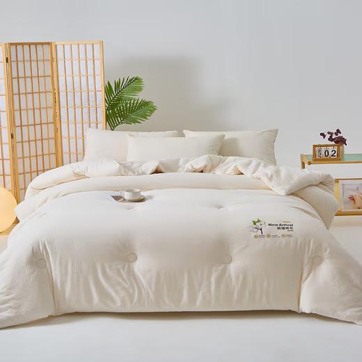 皮尔特保罗  梦回儿时棉花冬被 POLOB-2449 商品图0