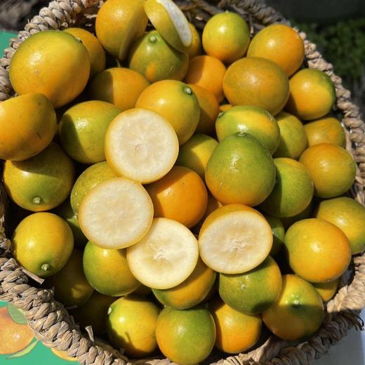 【纯甜无酸】广西融安滑皮金桔 早期青中带黄 商品图7