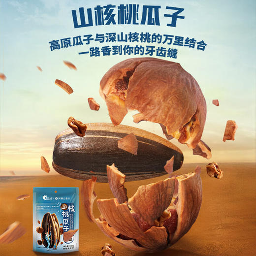 洽洽  洽洽瓜子 山核桃味108g*5袋 商品图2