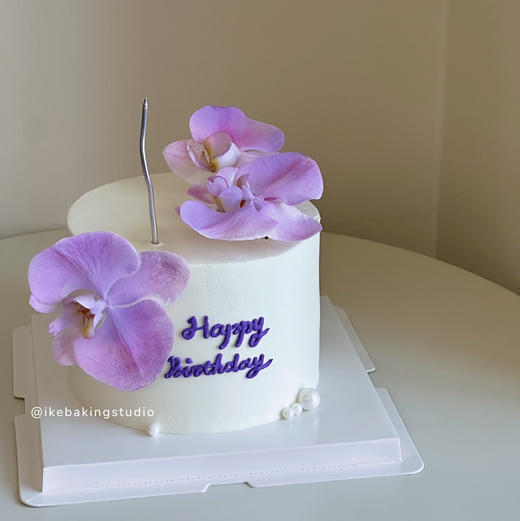 蝴蝶兰D 商品图0