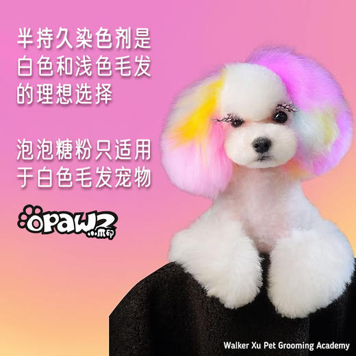 半持久宠物染色剂-泡泡糖粉Bubble Gum Pink OPAWZ小爪印 商品图6