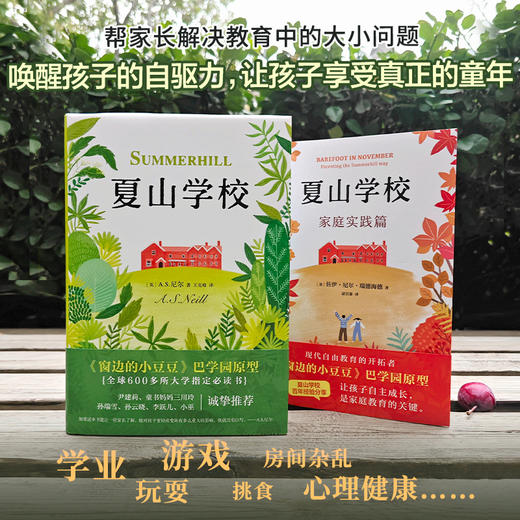 【多规格】夏山学校：家庭实践篇/夏山学校全集（全2册） 商品图6