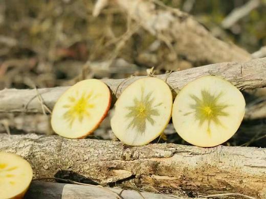 红旗坡六队顶级阿克苏苹果（甜度、水分、风味，独领风骚，刷新你认知的阿克苏苹果，你以往从未吃到的顶级口感） 商品图13