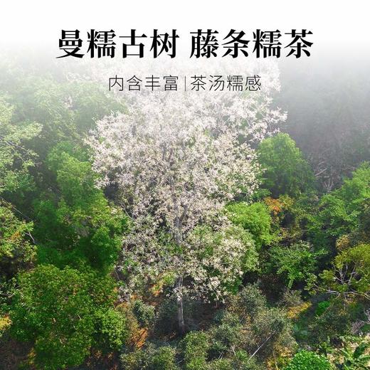 茶鲜森奇花香头春古树普洱生茶九年代表作200g/饼拍5发6【森之味】 商品图2