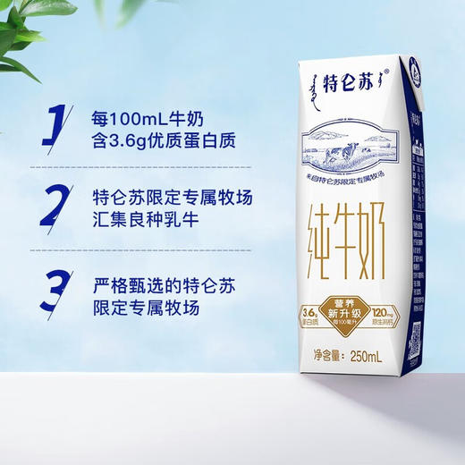 特仑苏 纯牛奶利乐钻250mL*16盒 商品图1