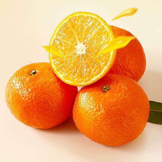 九稀 金秋砂糖橘 商品图0