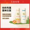 【益生菌多口味】北海牧场7种益生菌原味+黄金蜜柚小瓶装220g*12瓶 商品缩略图0