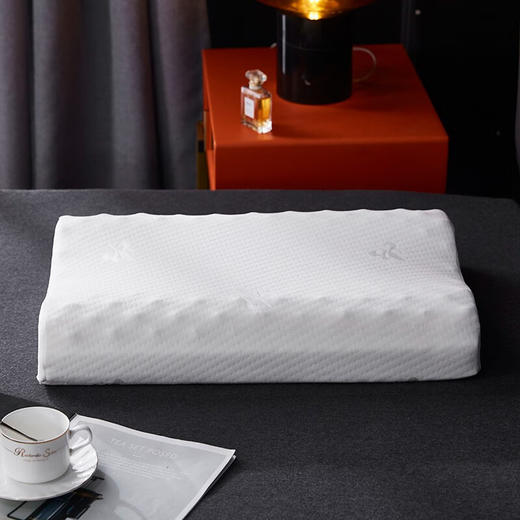 皮尔特保罗  记忆棉按摩枕 PPLZ-002 商品图1