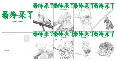 秦岭来了文创 商品图8