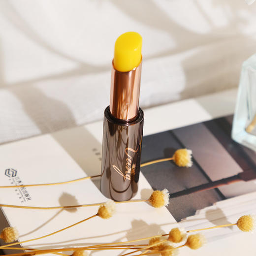 （叶一乐专属）抚平唇纹的神奇沙棘果油润唇膏 商品图0