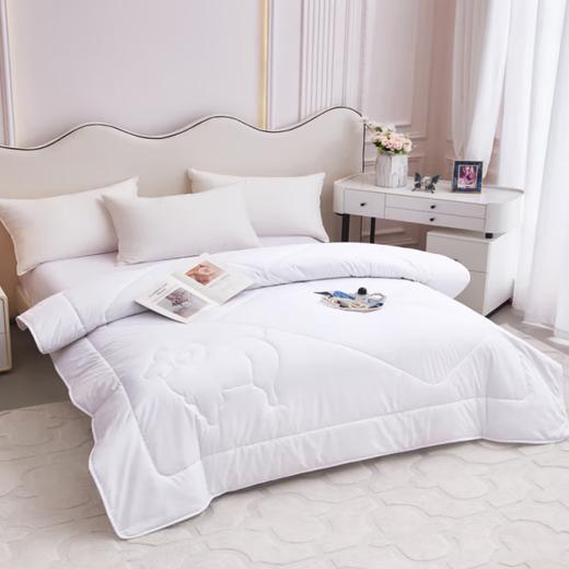 皮尔特保罗  鄂尔多斯羊毛被 POLOB-2448 商品图0