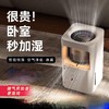 DAEWO0/大宇  无雾加湿器大容量卧室家用母婴台式除菌轻音智能恒湿 商品缩略图1