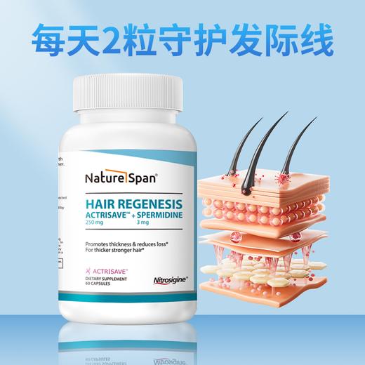 亚精胺头发配方ACTRISAVE™ 美国进口胶囊60粒/瓶 NS倍能适美国 商品图4