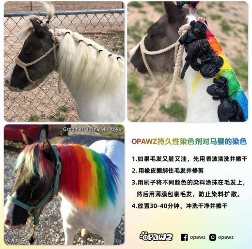 宠物持久染色剂--小瓶套装 OPAWZ小爪印 商品图6