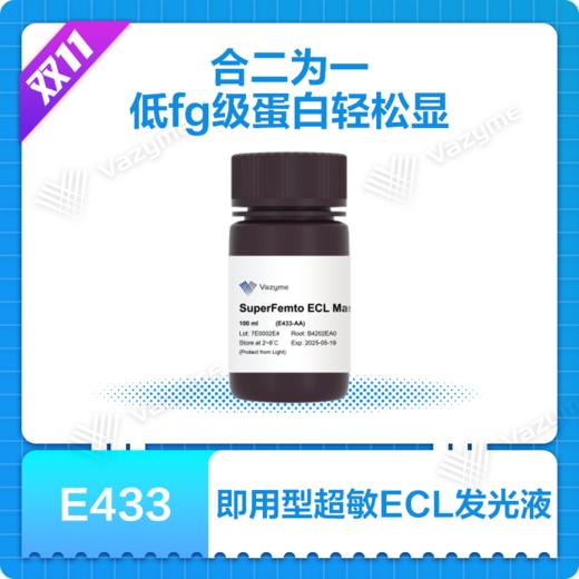 SuperFemto ECL Master Mix 商品图0