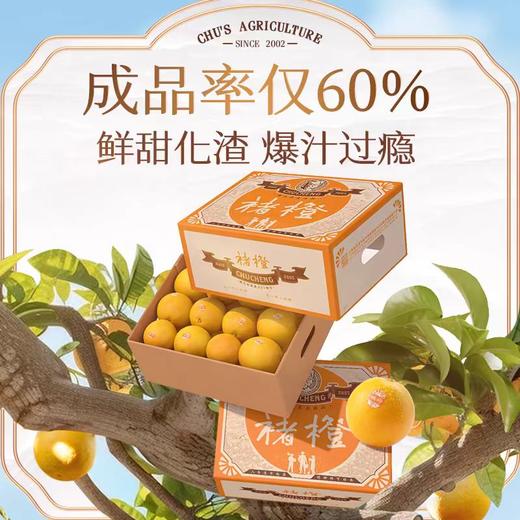【2025年新鲜褚橙】下单即赠36元券包  7天左右发货 褚橙官方正品 当季新鲜橙子 甜蜜多汁 礼盒装10斤 5种规格任选 商品图8
