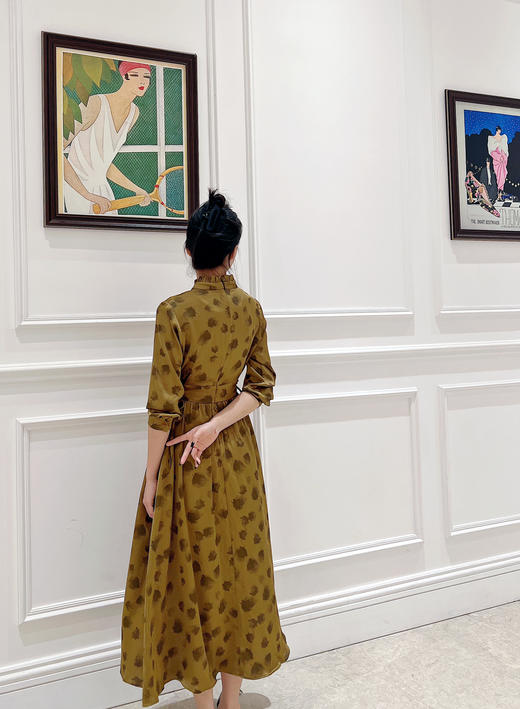 HJ3S100气质长款连衣裙~黄螺 商品图4