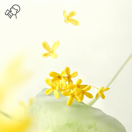 喜茶空茶金桂凤凰单丛茶饮料500ml*15瓶整箱 商品图3